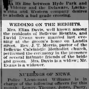 Marriage of Davis / Evans